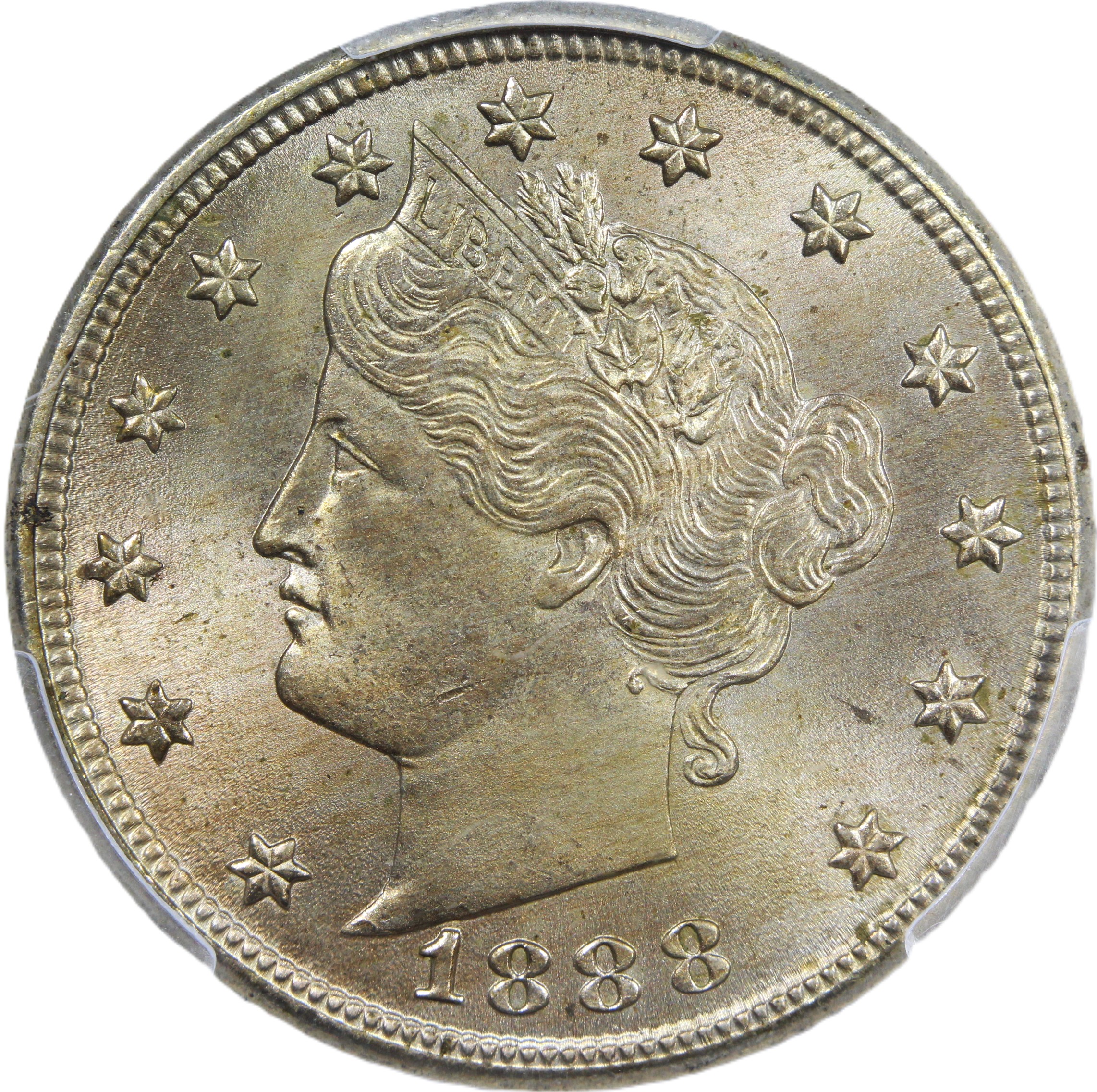 image for: 1888 5c PCGS MS64