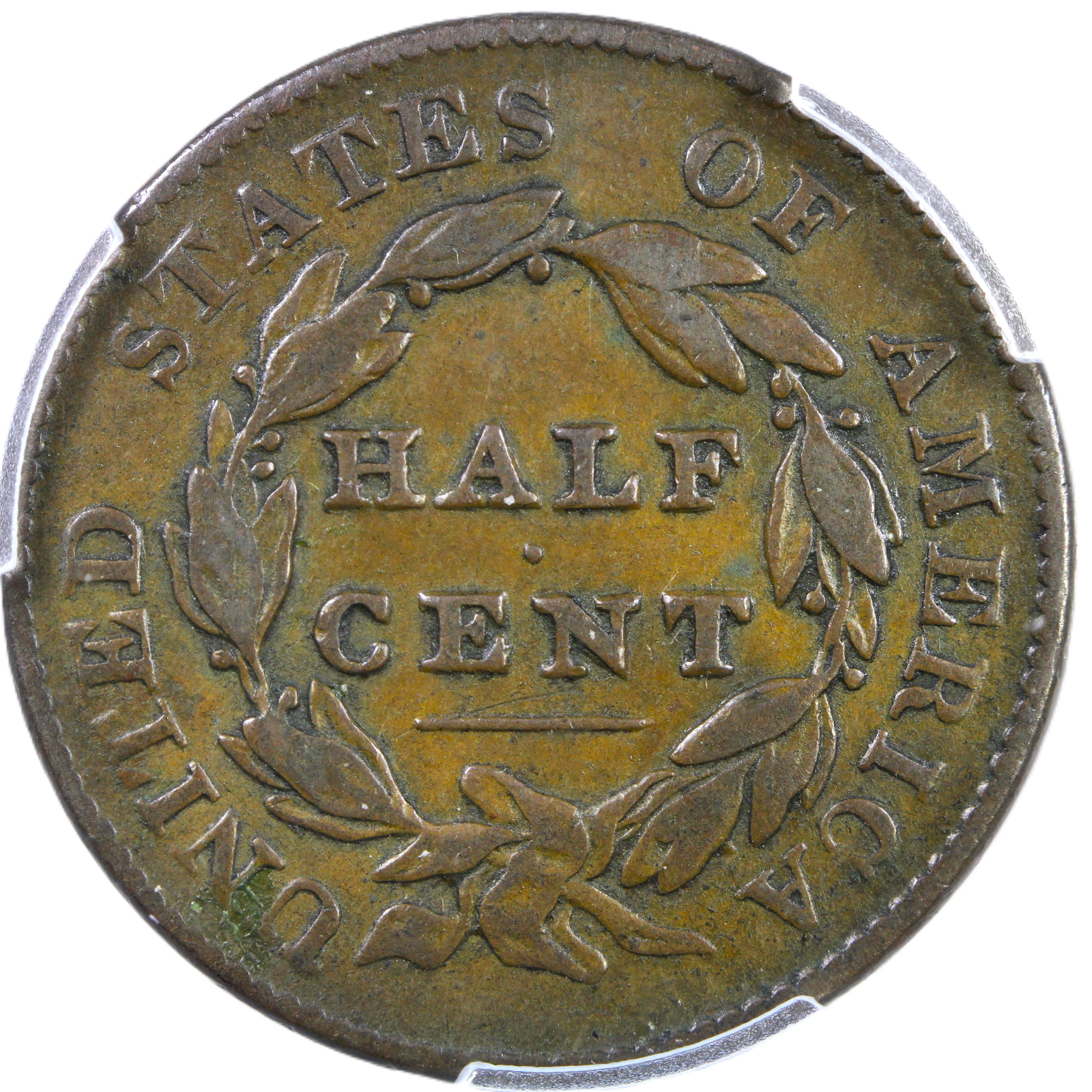 thumbnail for: 1828 13 Stars 1/2c PCGS VF30 BN