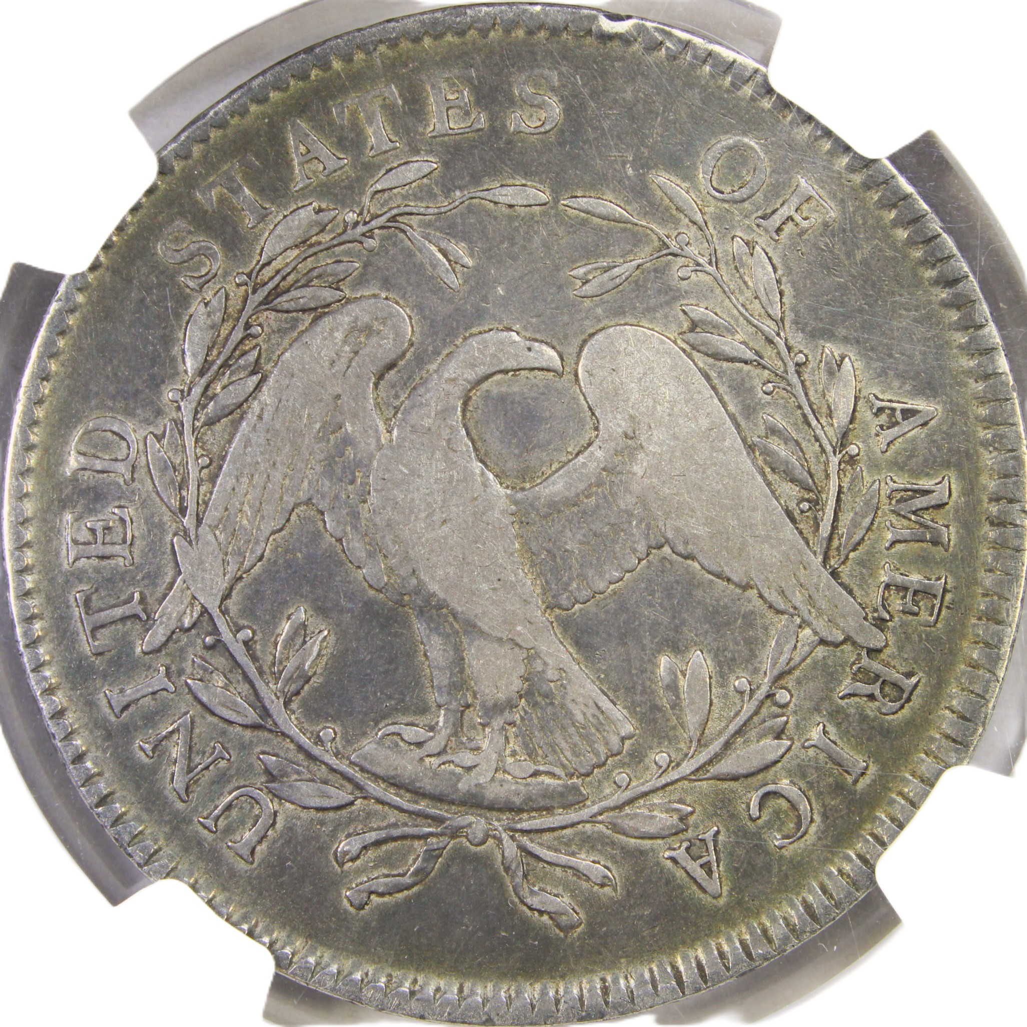 image for: 1795 Flowing Hair, 3 Leaves $1  NGC F15