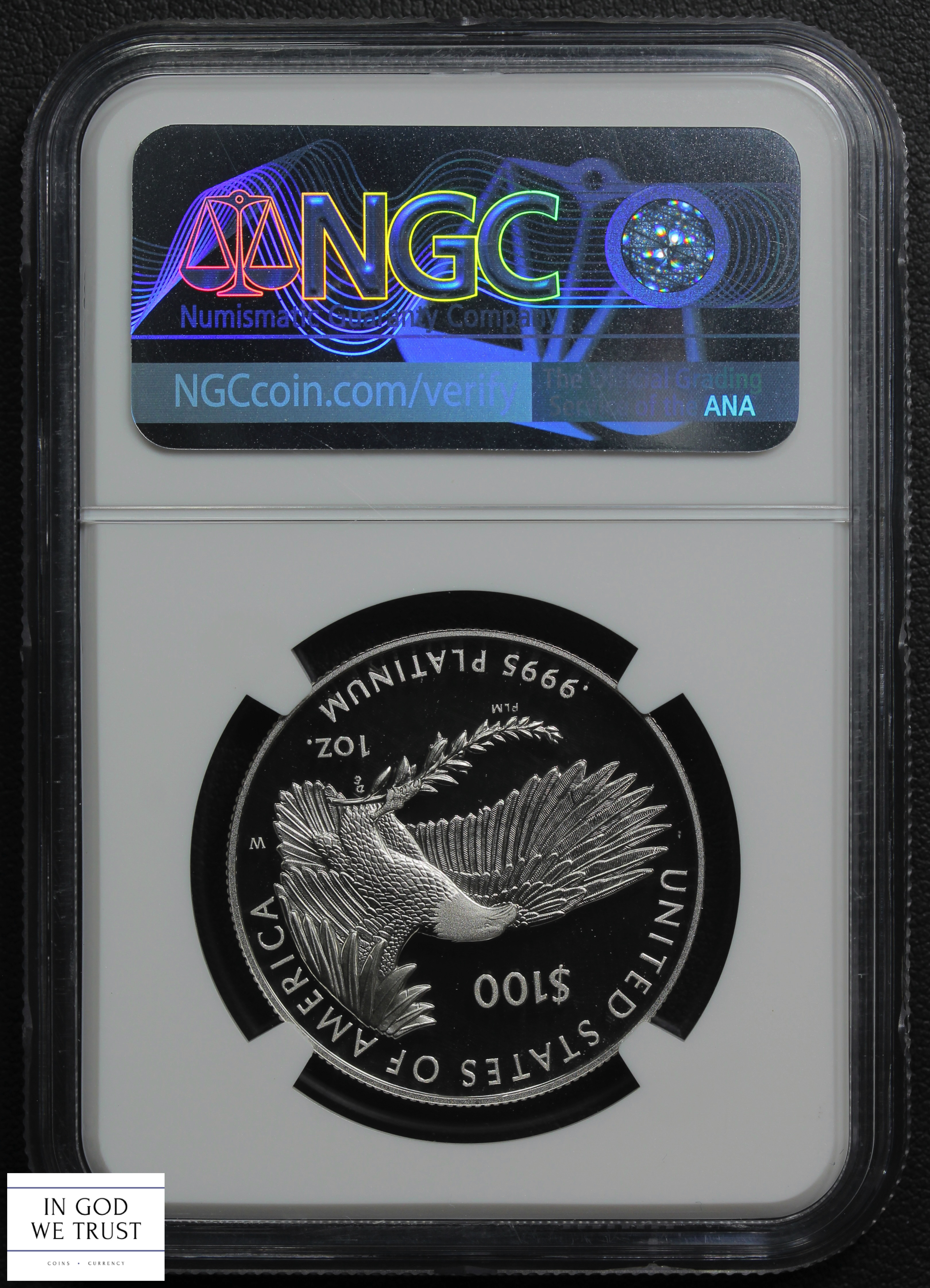 image for: 2023 Platinum Eagle P$100  NGC MS70