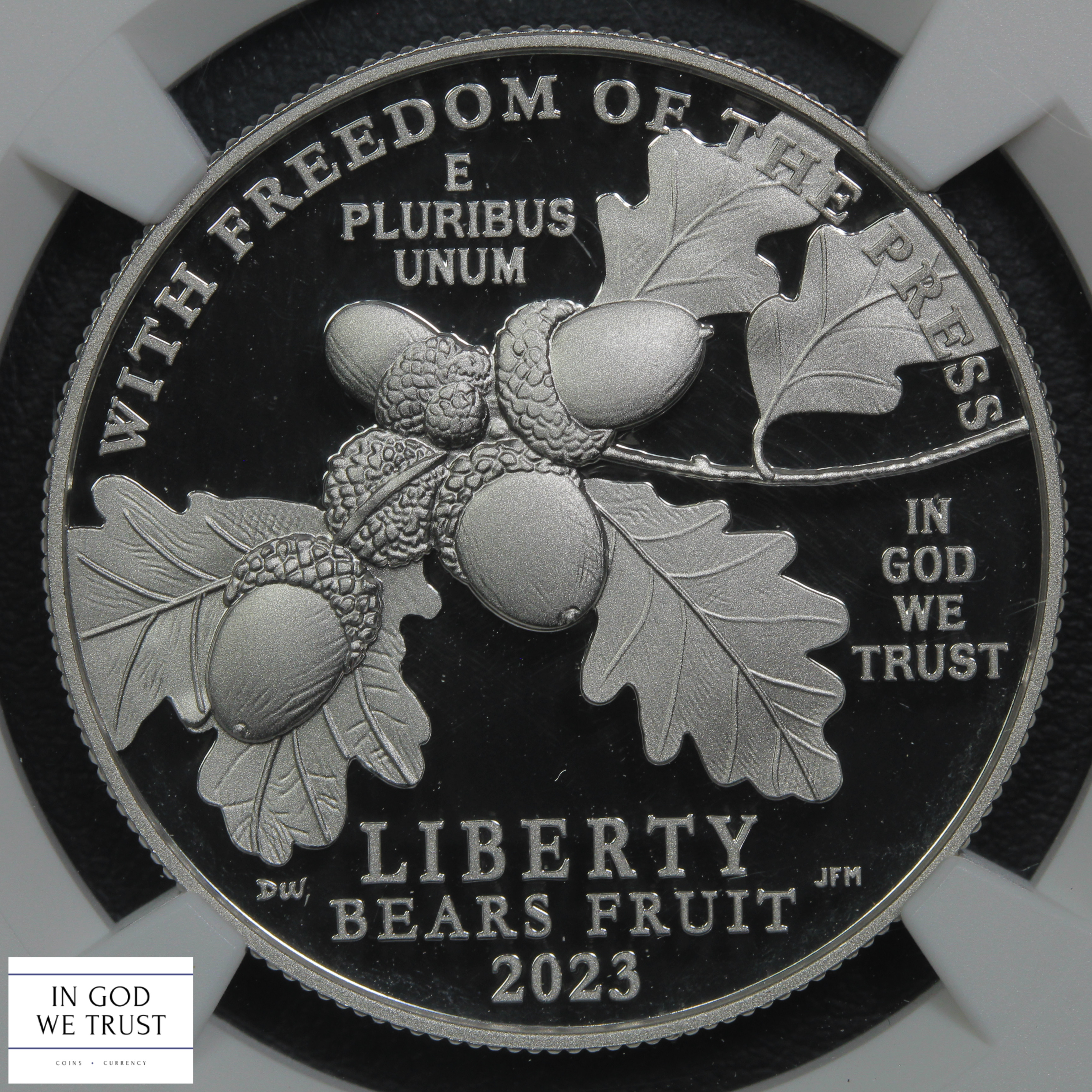 image for: 2023 Platinum Eagle P$100  NGC MS70