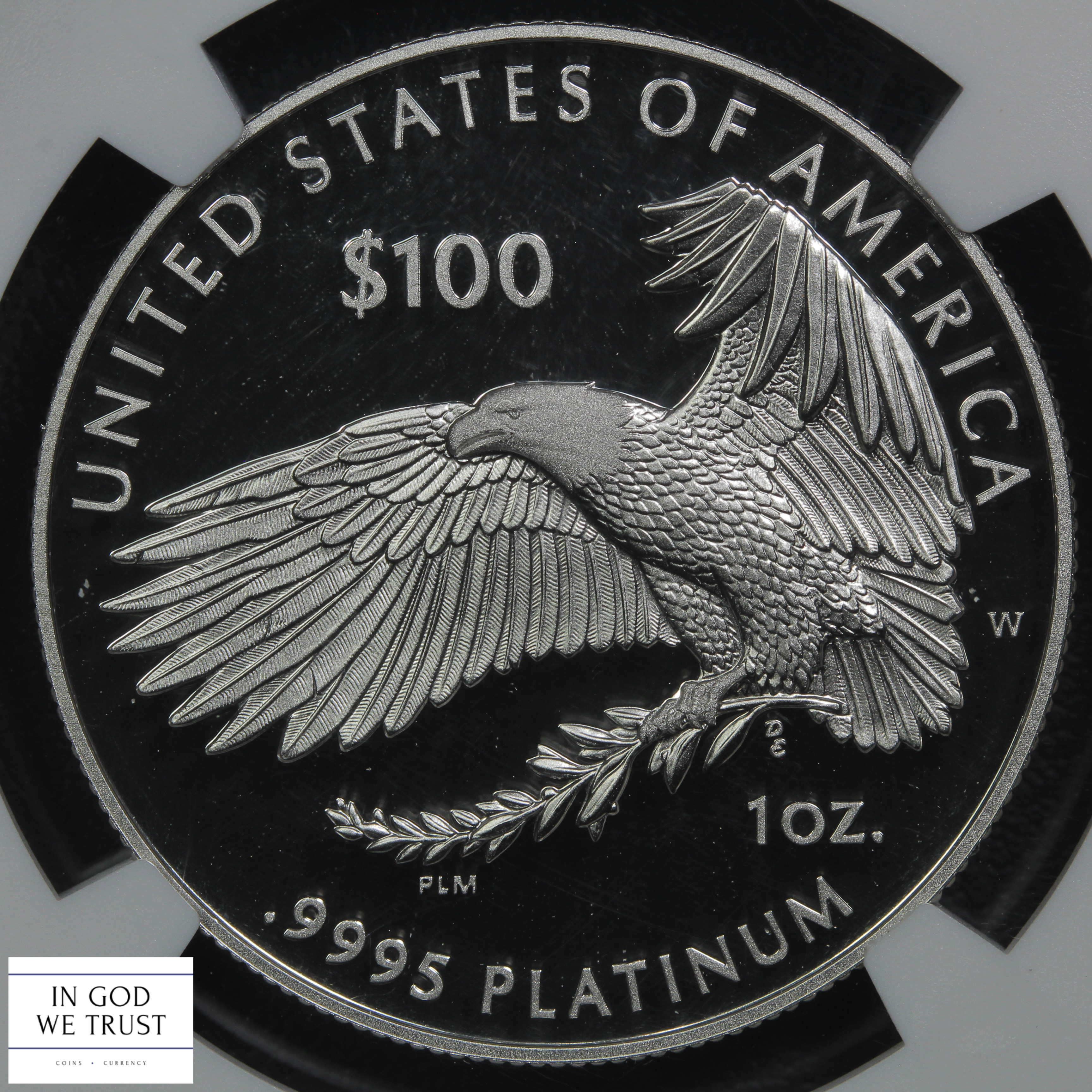 image for: 2023 Platinum Eagle P$100  NGC MS70