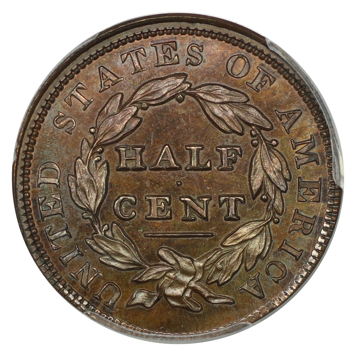 image for: 1836 Restrike, Reverse of 1836 1/2c PCGS PR65 BN