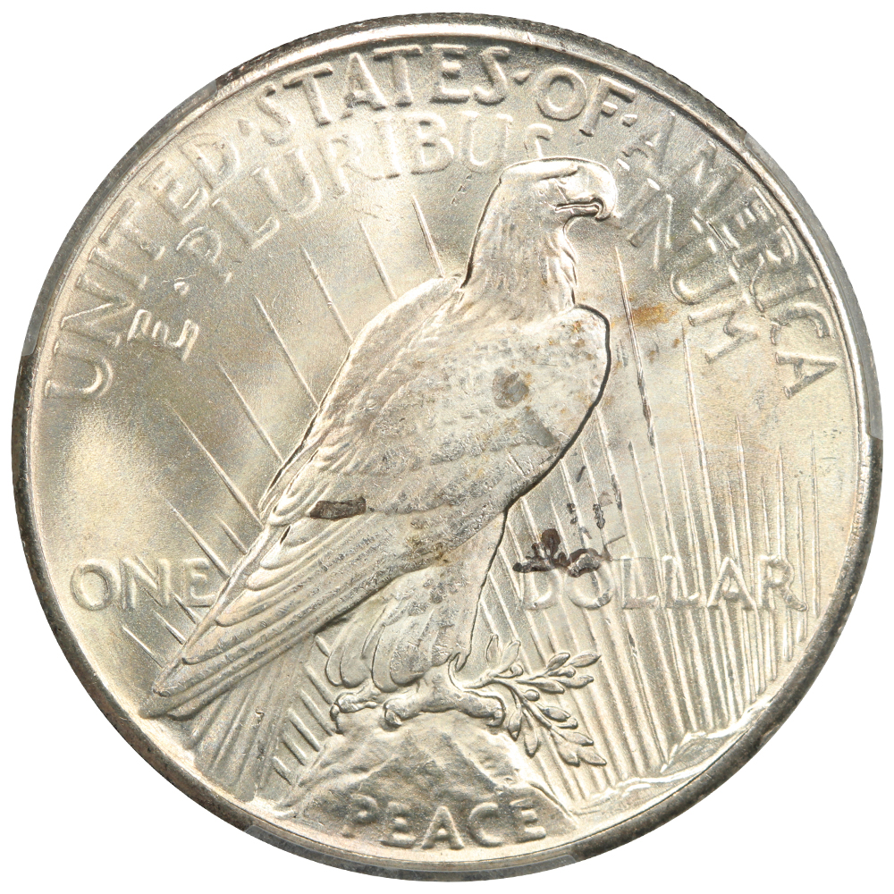 image for: 1928 $1  PCGS MS66