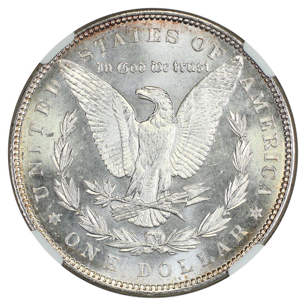 image for: 1899 $1 NGC MS64