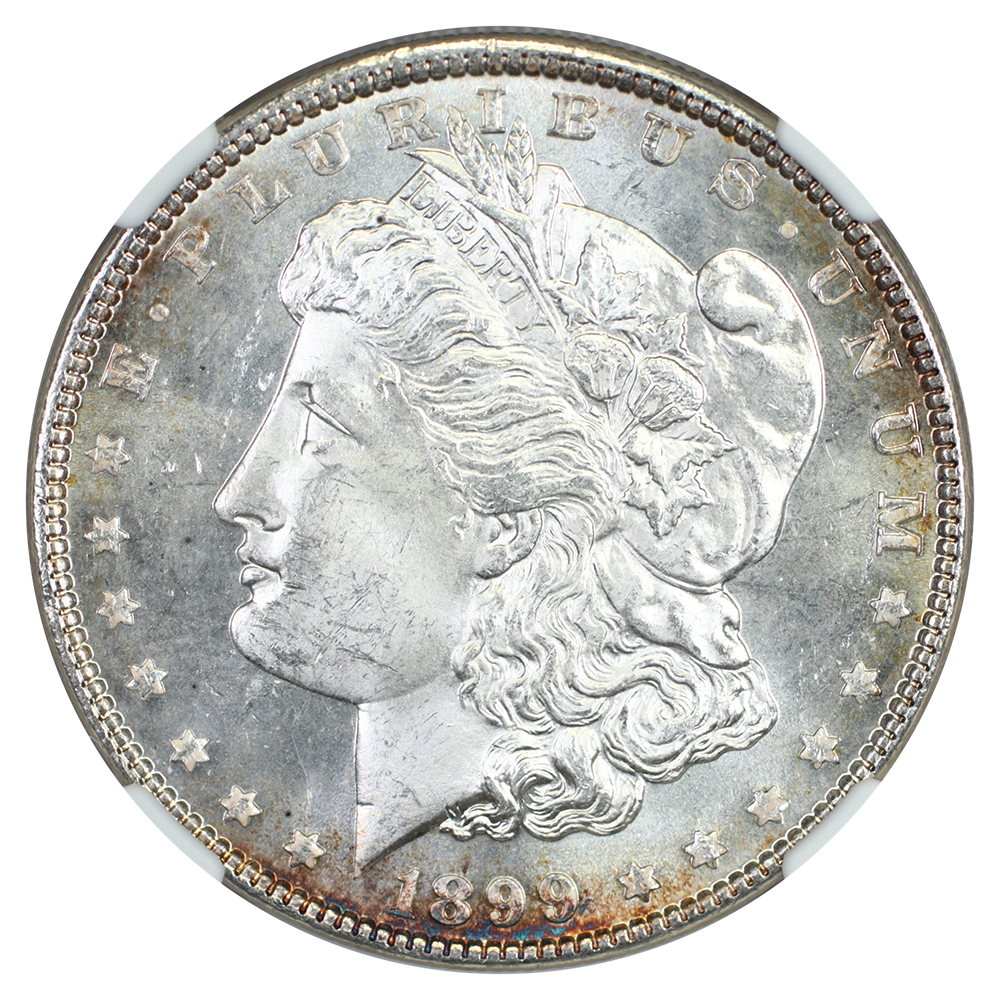 image for: 1899 $1 NGC MS64