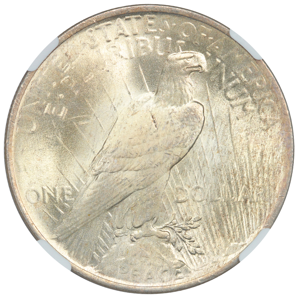 image for: 1924 $1  NGC MS66