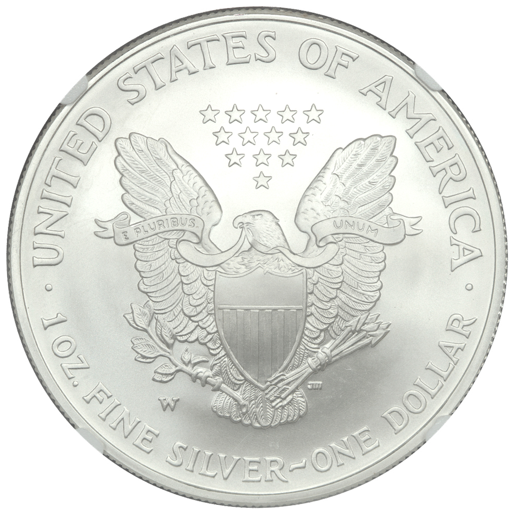 image for: 2008-W Silver Eagle, Burnished, Reverse of 2007 $1  NGC MS70