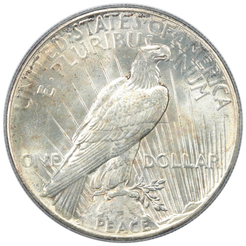 image for: 1928 $1  PCGS MS62