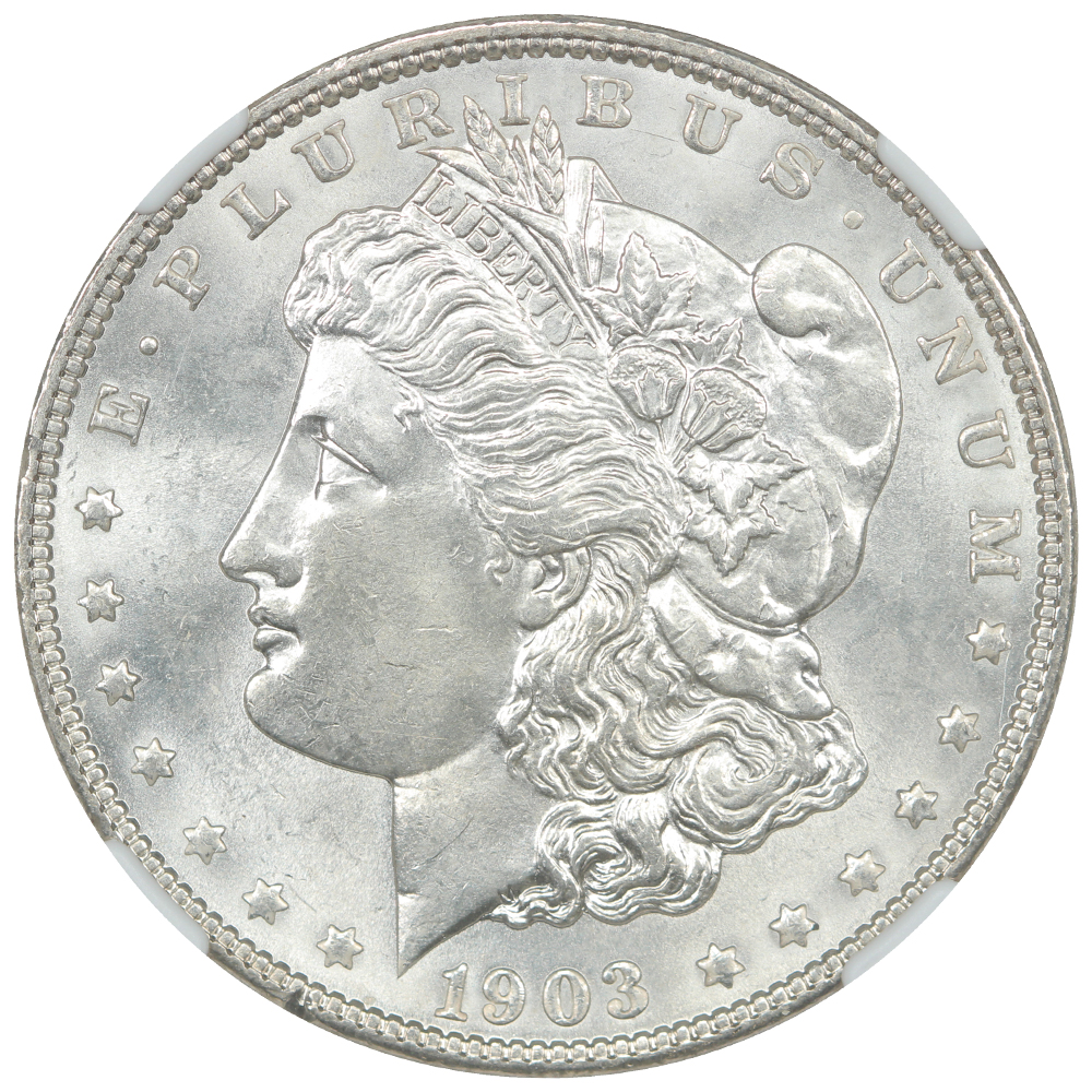 image for: 1903 $1  NGC MS63