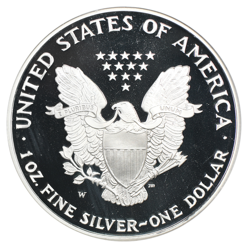 image for: 1995-W Silver Eagle $1  NGC PR69 DCAM