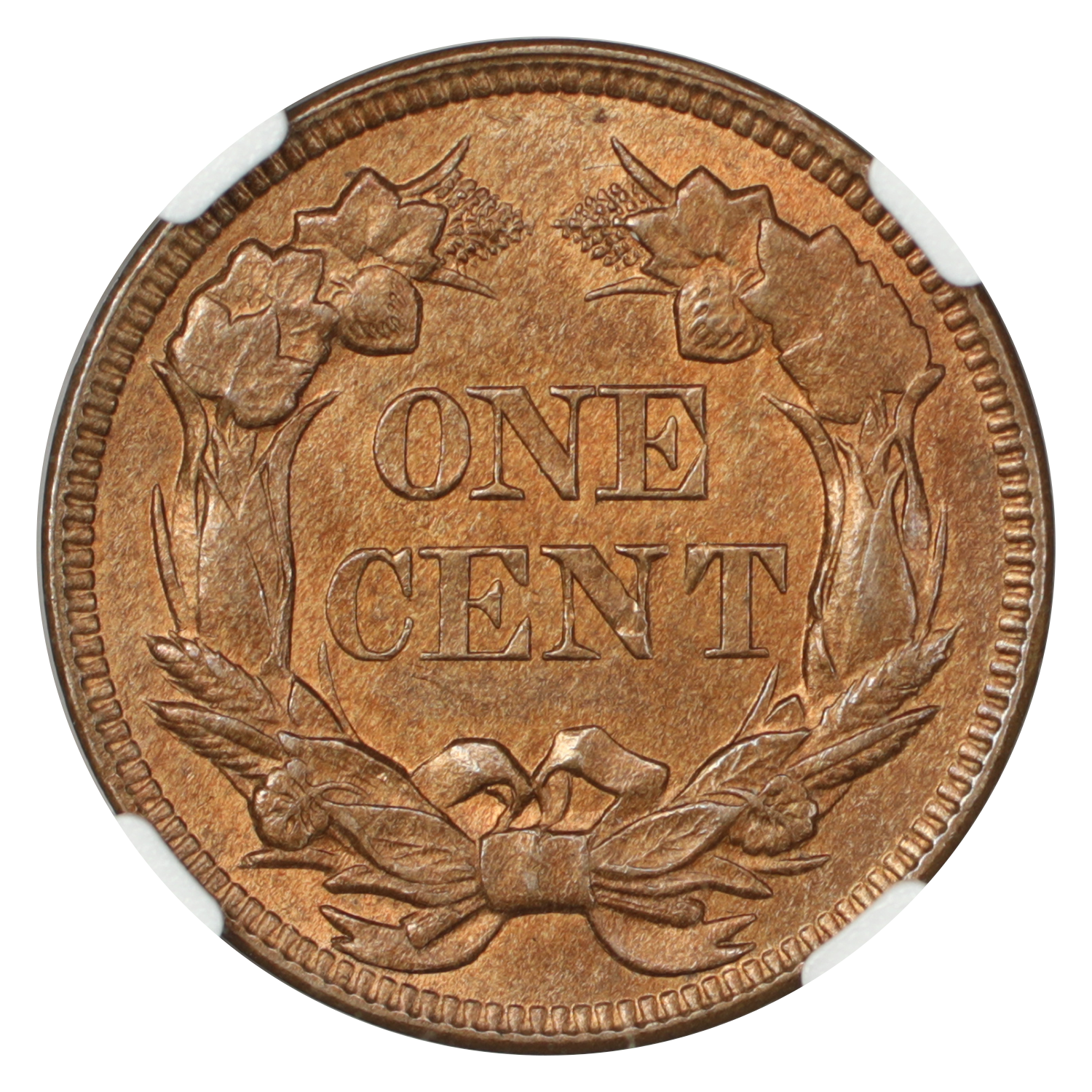 image for: 1857 Flying Eagle 1c NGC MS65