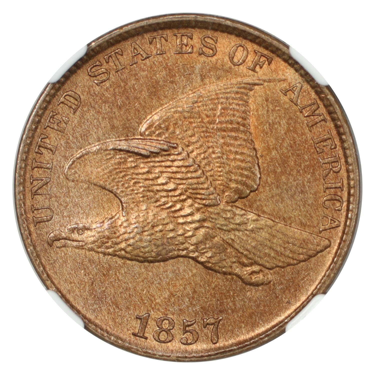 image for: 1857 Flying Eagle 1c NGC MS65
