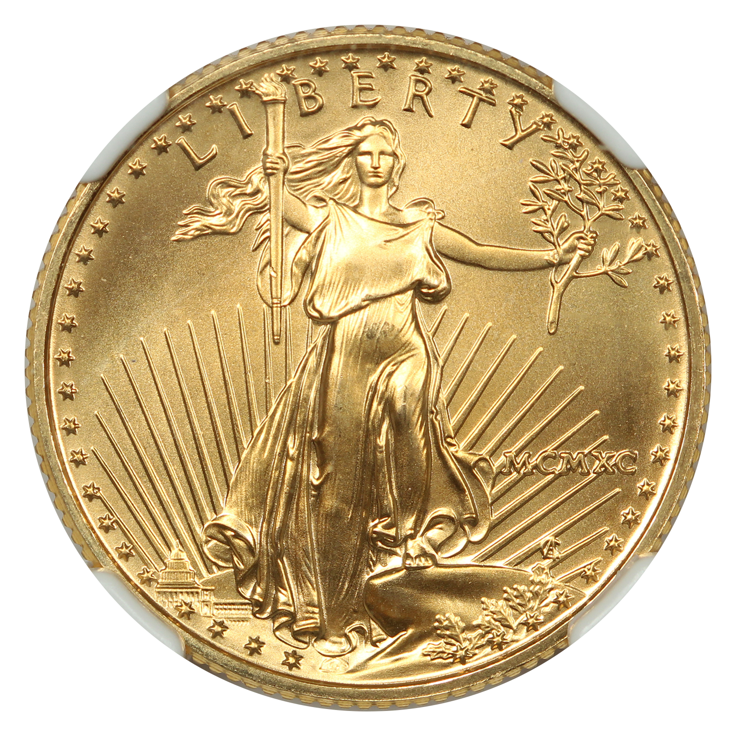 image for: 1990 Gold Eagle $10  NGC MS69