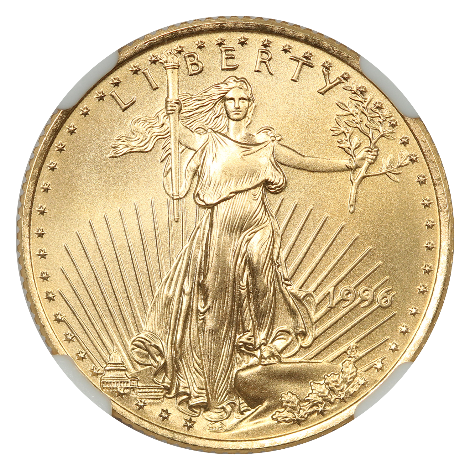 image for: 1996 Gold Eagle $10  NGC MS69