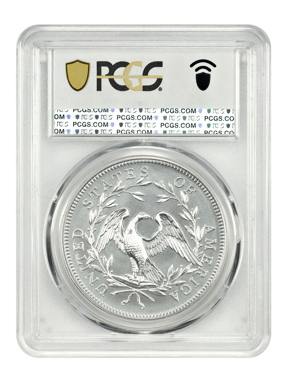 image for: 2024 230th Anniversary Flowing Hair, Silver Medal PCGS MS70
