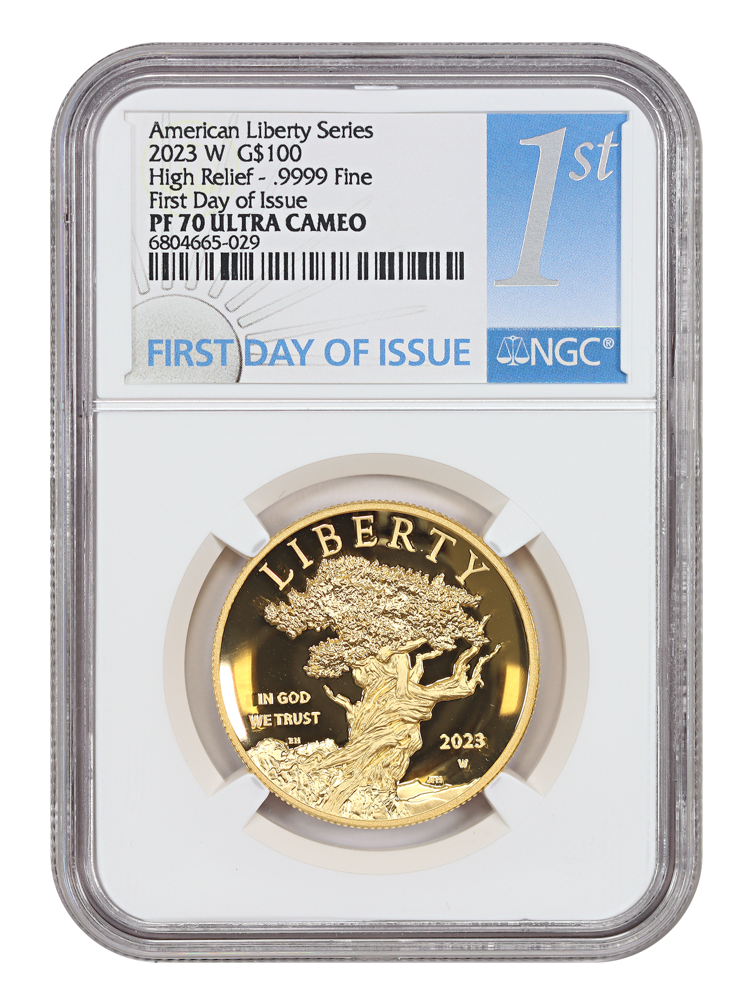 2023-W $100 American Liberty High Relief, DCAM