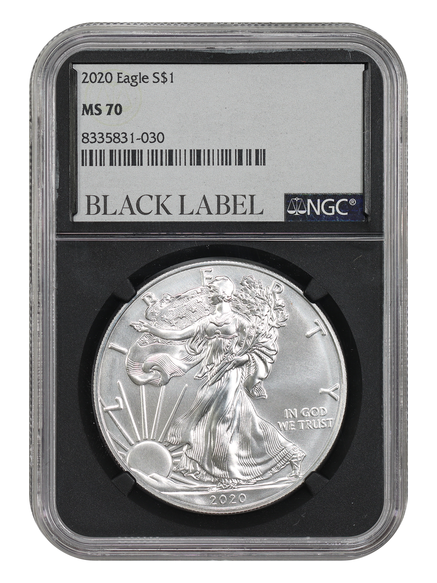 2020 $1 Silver Eagle